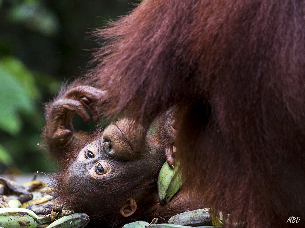 El pequeñín tiene curiosidad