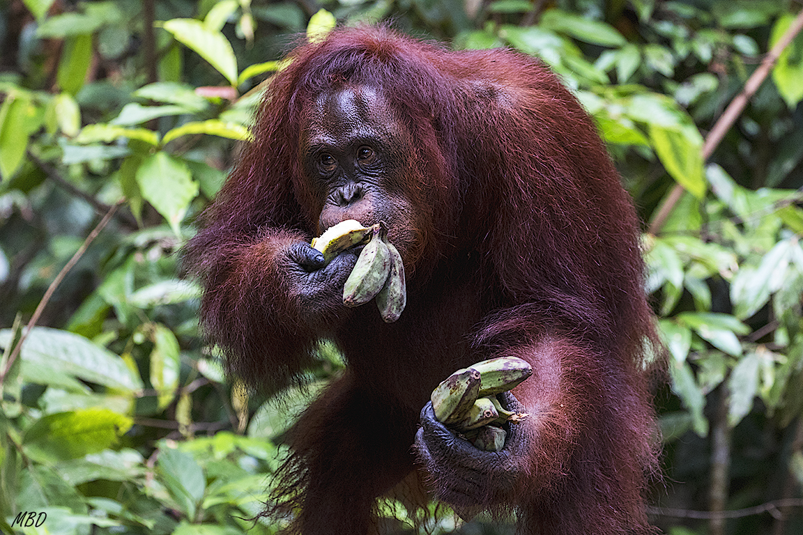 Hay quien va a lo suyo