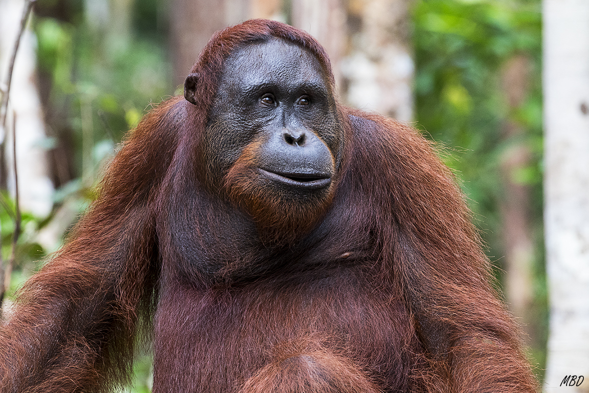 De nueva esa mirada...