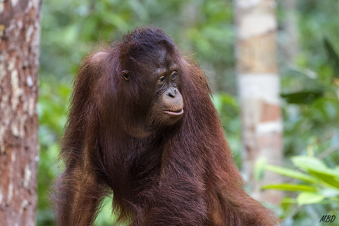 No me canso de hacer fotos