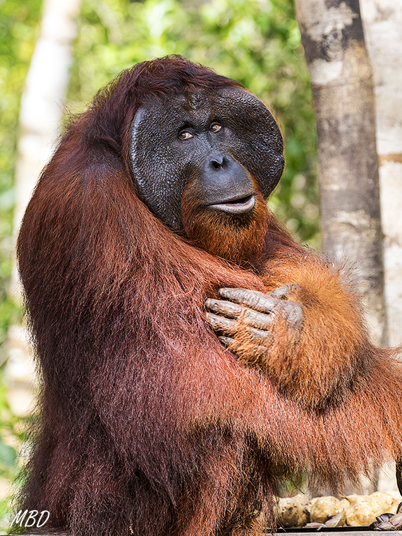 Poco a poco se relaja