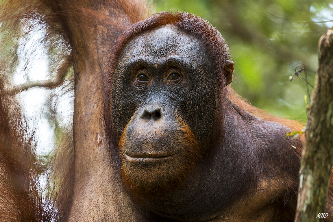 La espera puede ser larga