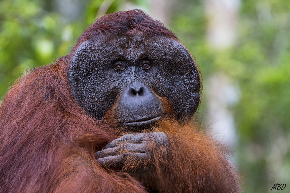 Él, más tranquilo, parece a gusto