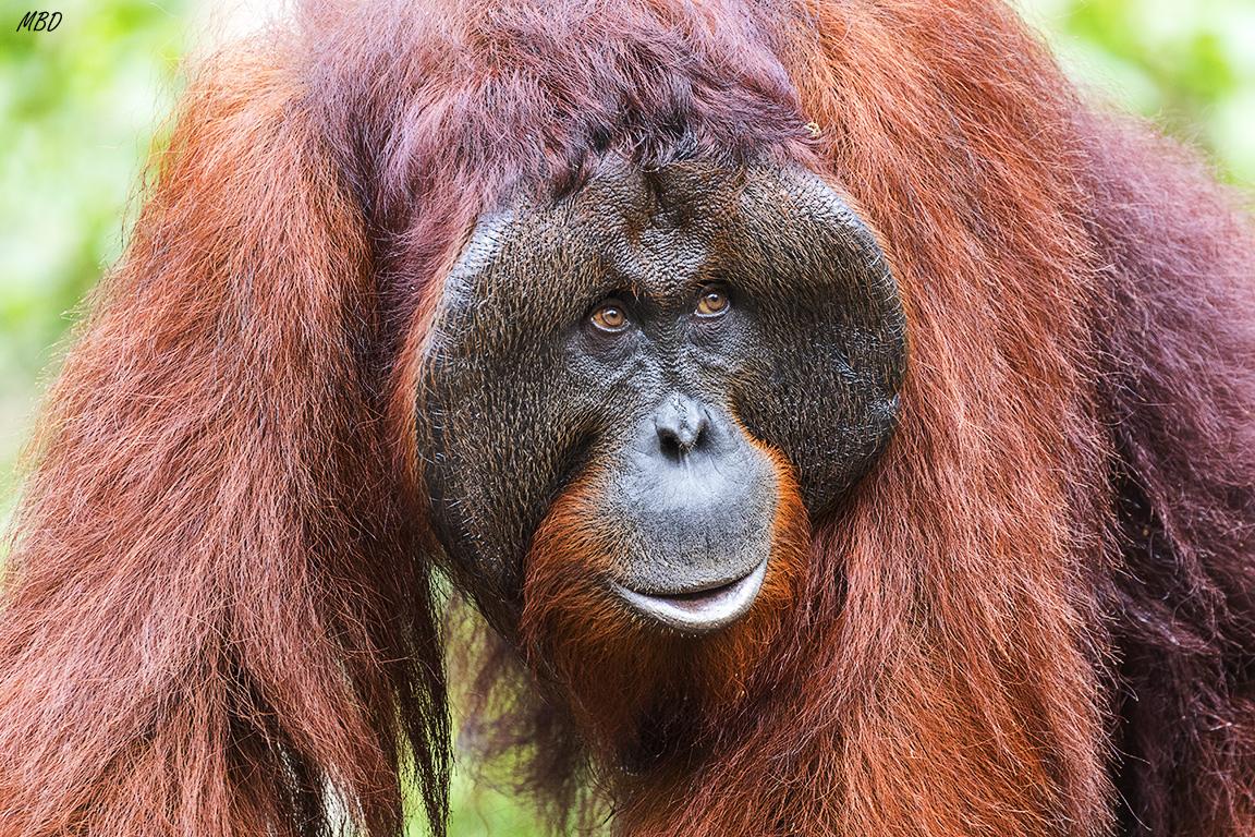 Inmenso, en un instante, desaparece. 