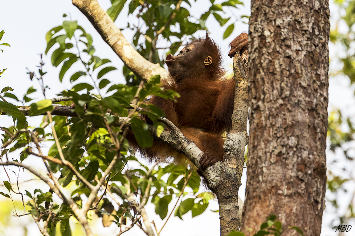 Y ahora sí, el peque tiene permiso para jugar