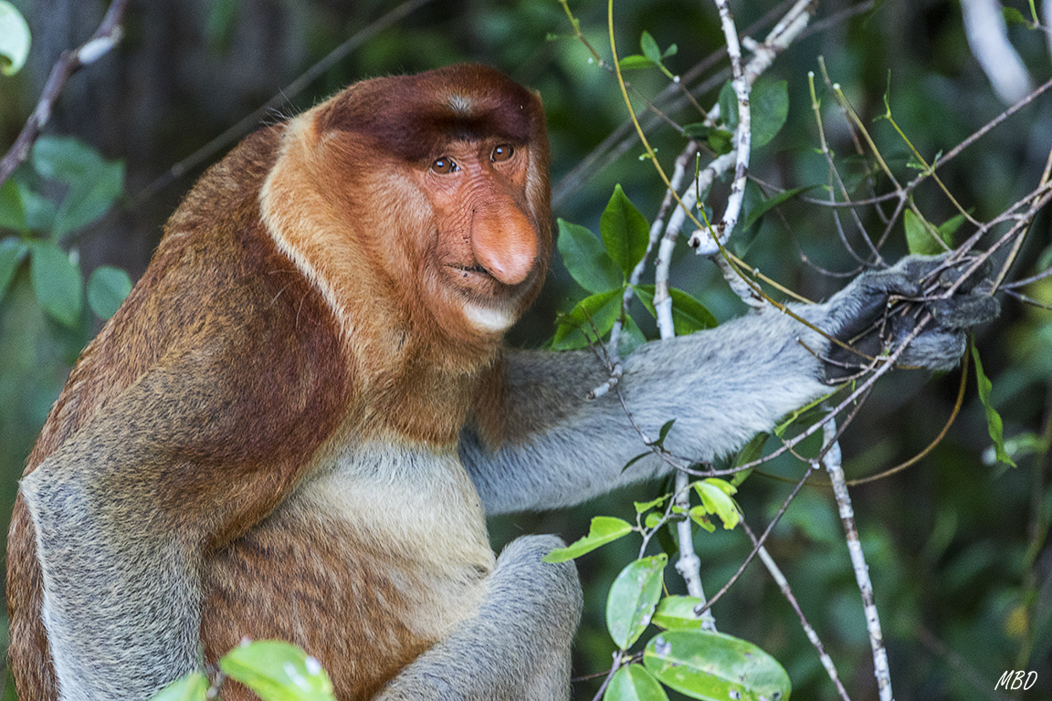 Aunque siempre pendiente de nosotros
