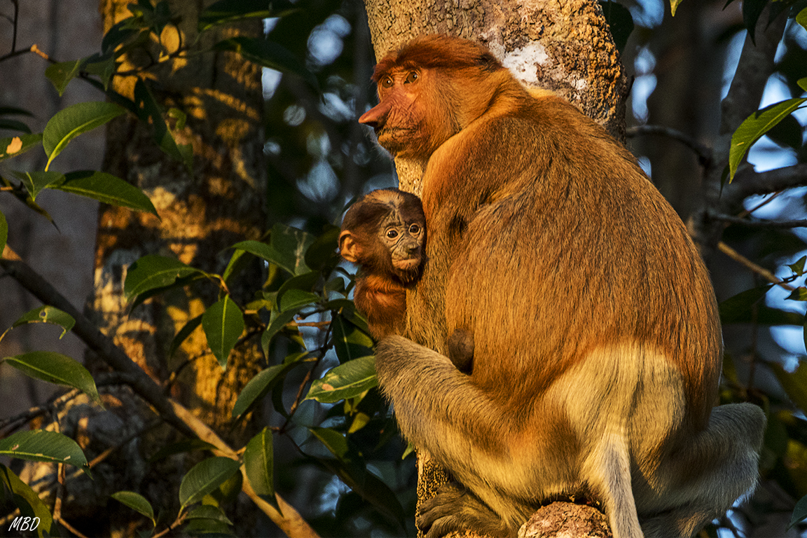 Últimos rayos de sol