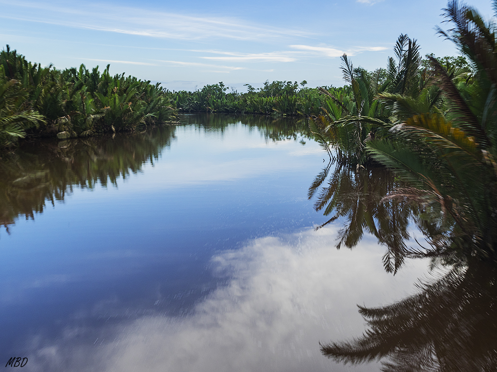 Disfrutamos de la atmósfera