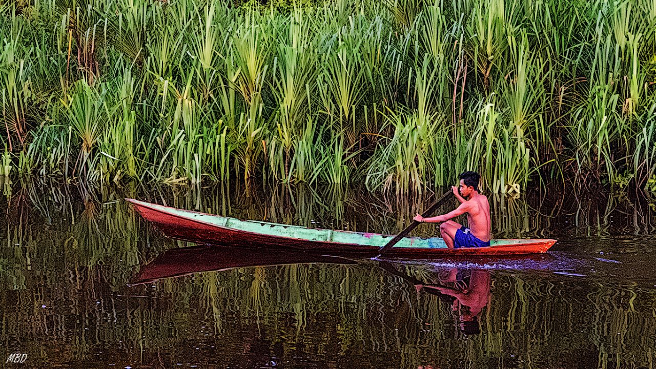 Actividad en el río