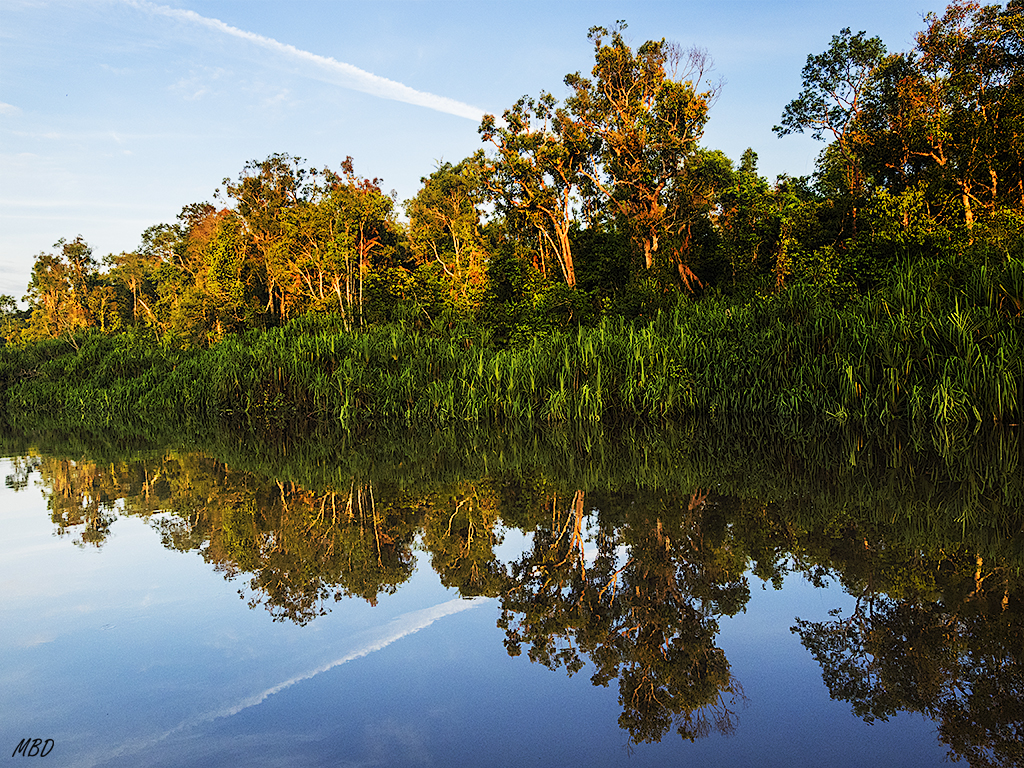 Y buenas luces y reflejos