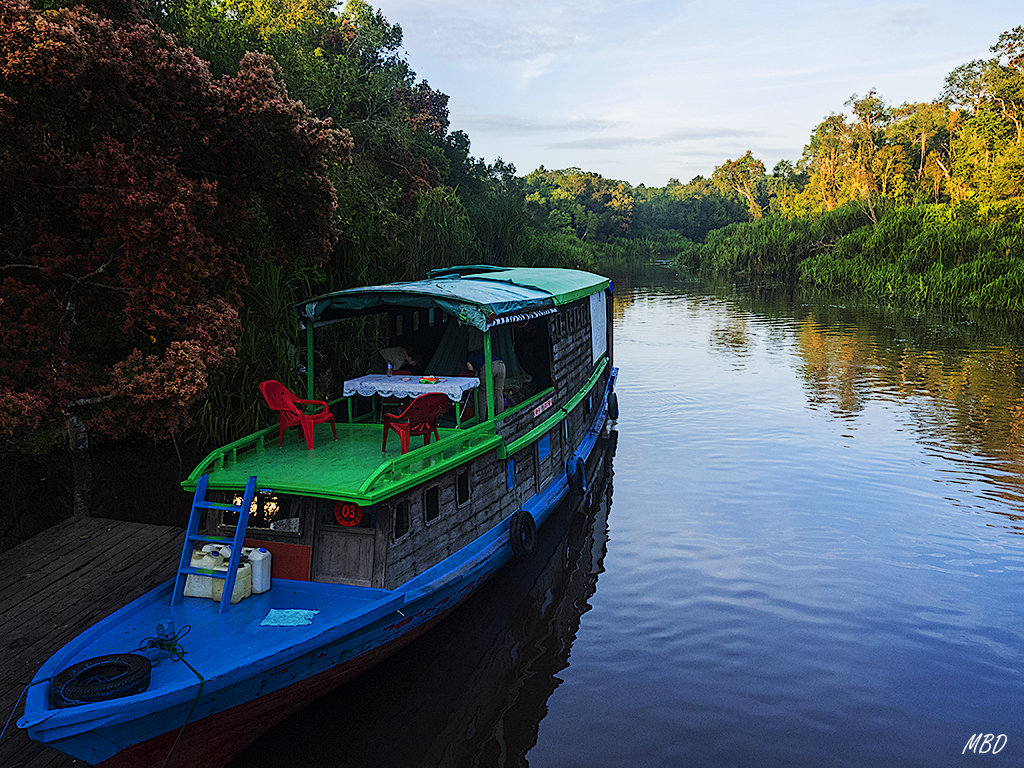 Comienza la actividad en el klotok