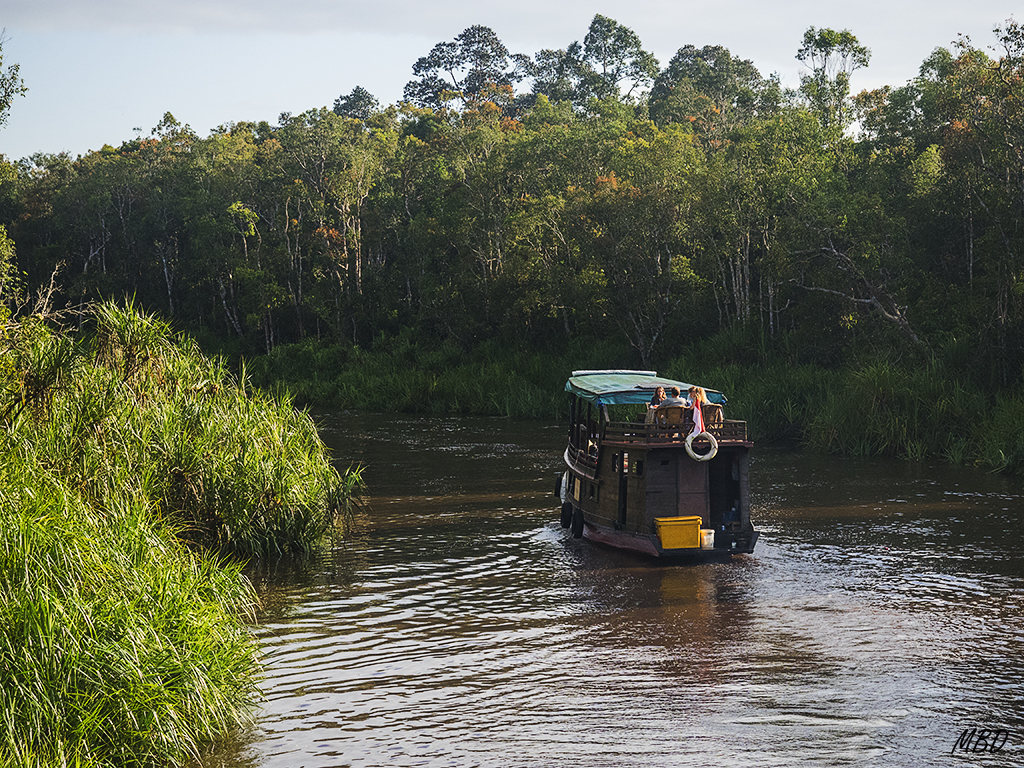 Poco a poco se estrecha