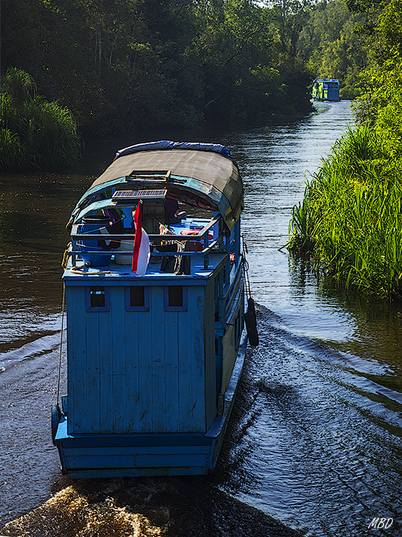 Por momentos hay fila