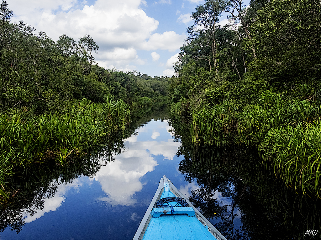 El cauce ya muy estrecho