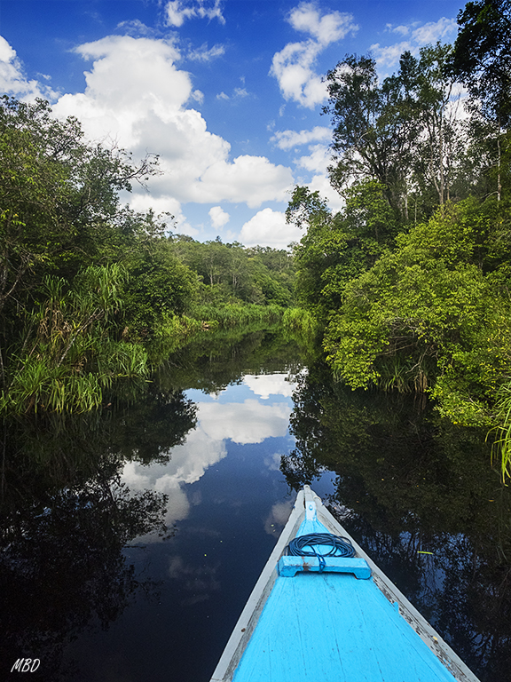 Vamos solos, hay silencio