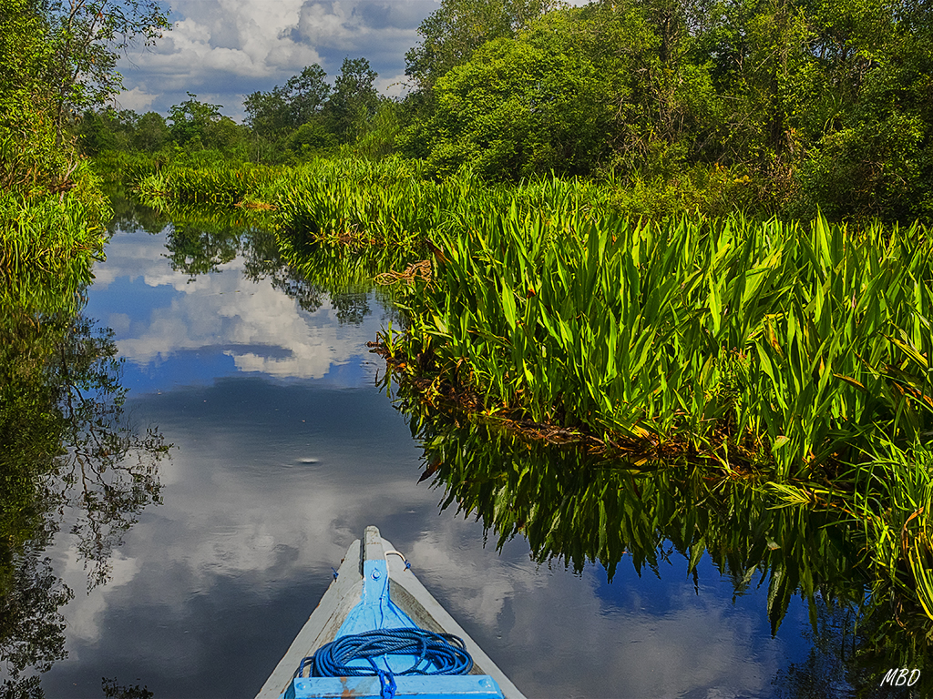 El reflejo, el silencio, algo de irrealidad en el ambiente