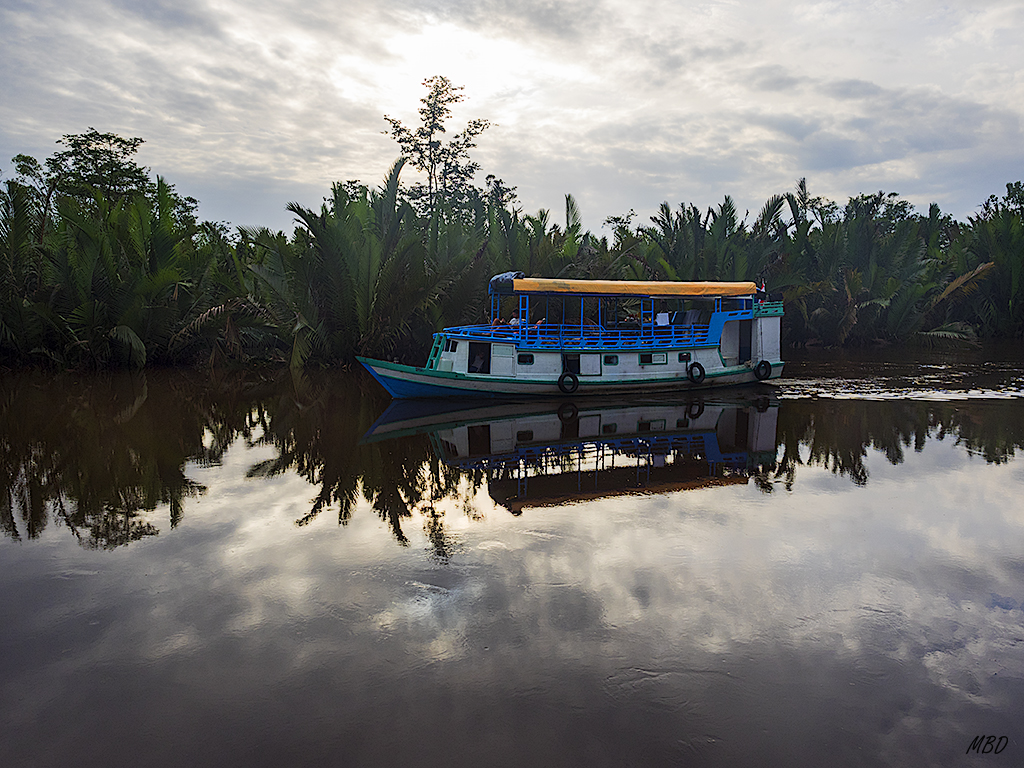 Espectacular Tajung Puting!