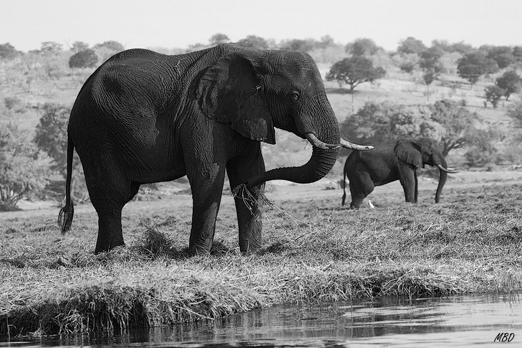 Qué bien les sienta el B&N !!