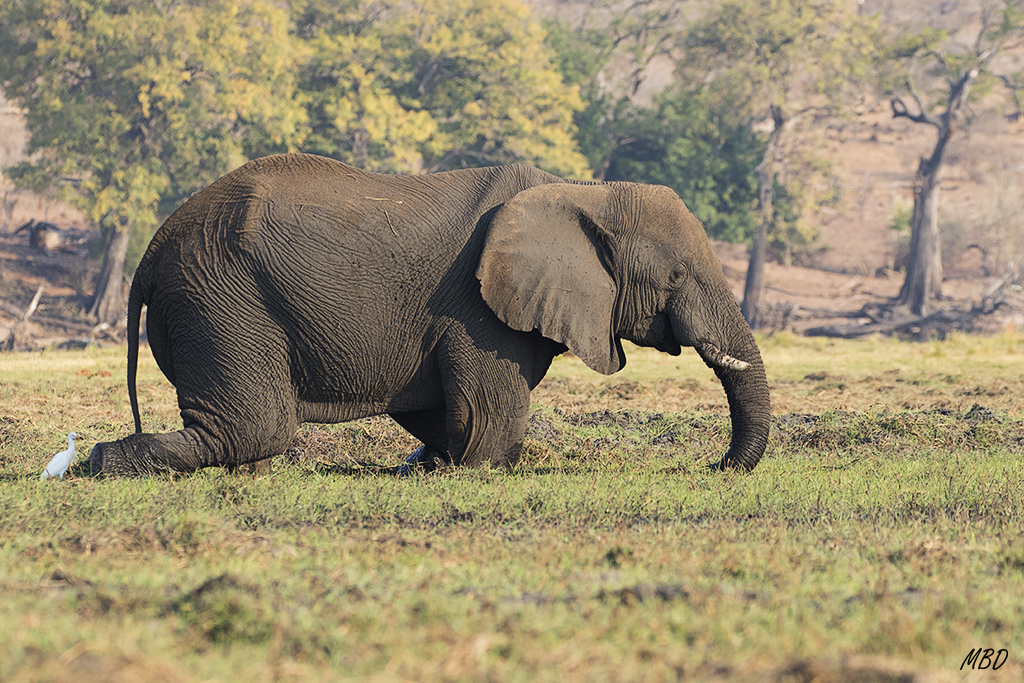 Como si de un penitente se tratase…