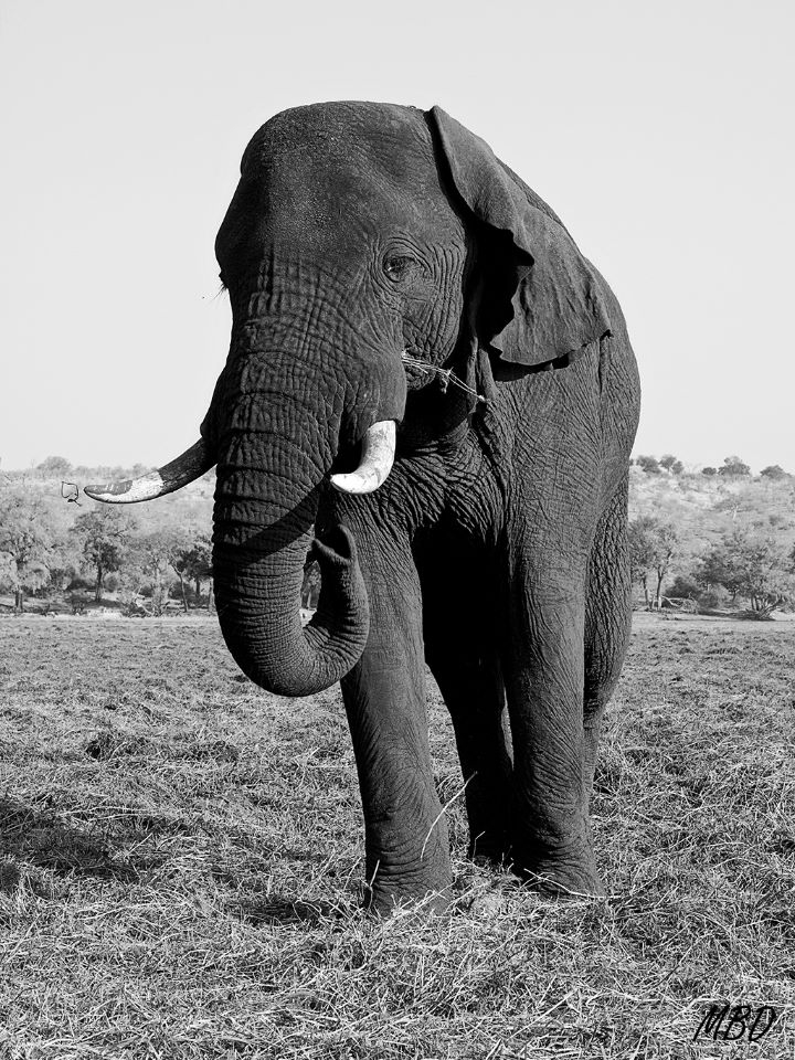 Mejor volver al cauce del río…