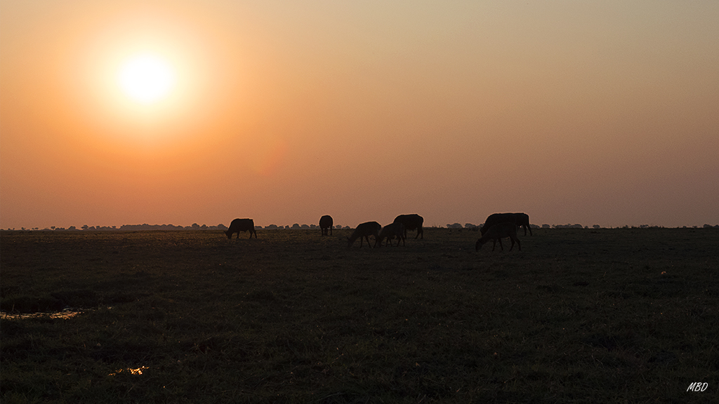 El sol se retira deprisa