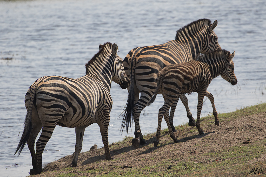 Y escucho ese click de mi cámara que no sabe parar…
