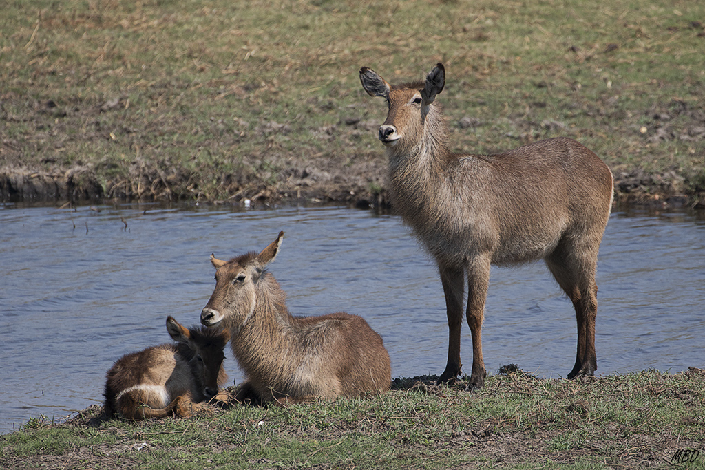 Cuidando al pequeño