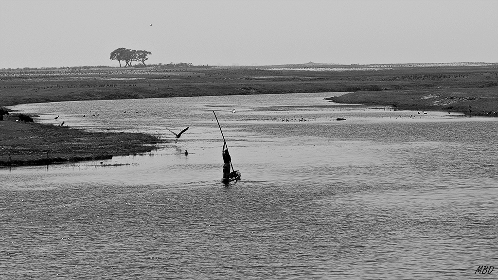 Sitio también para pescadores y ganado. 