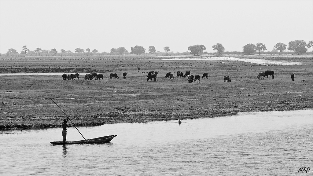 Importante buscar el equilibrio en la conservación.