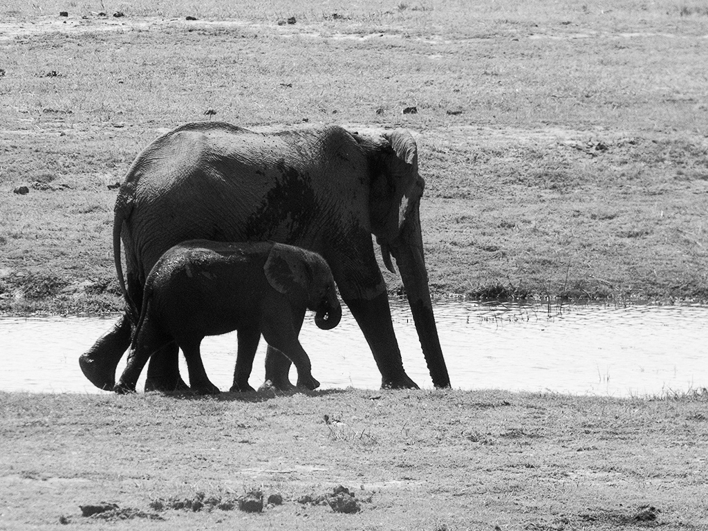 No se despega de su madre