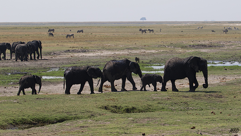 No me canso de verlos