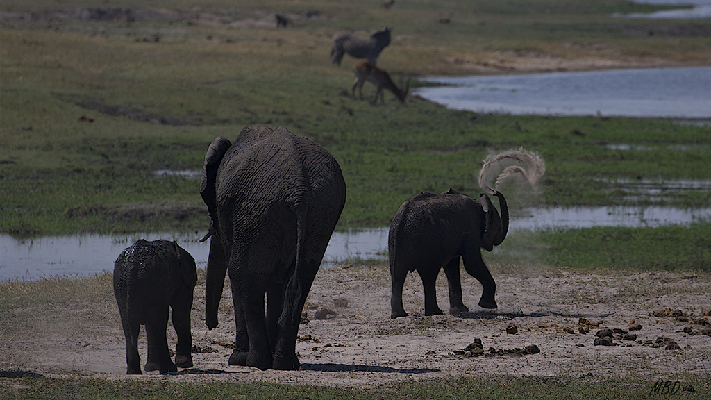 Quién dijo exfoliantes!