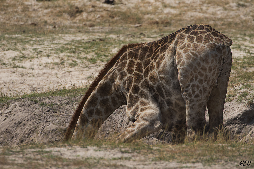 Uno de los momentos de mayor exposición e indefensión.