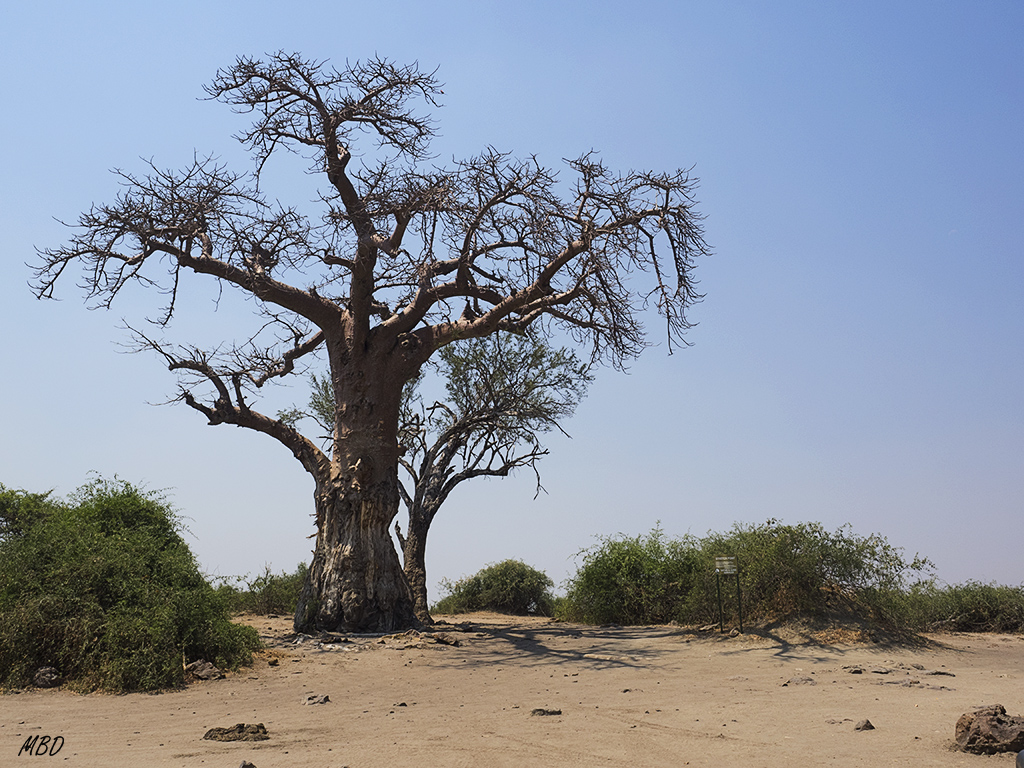 ... y recuperar las lumbares
