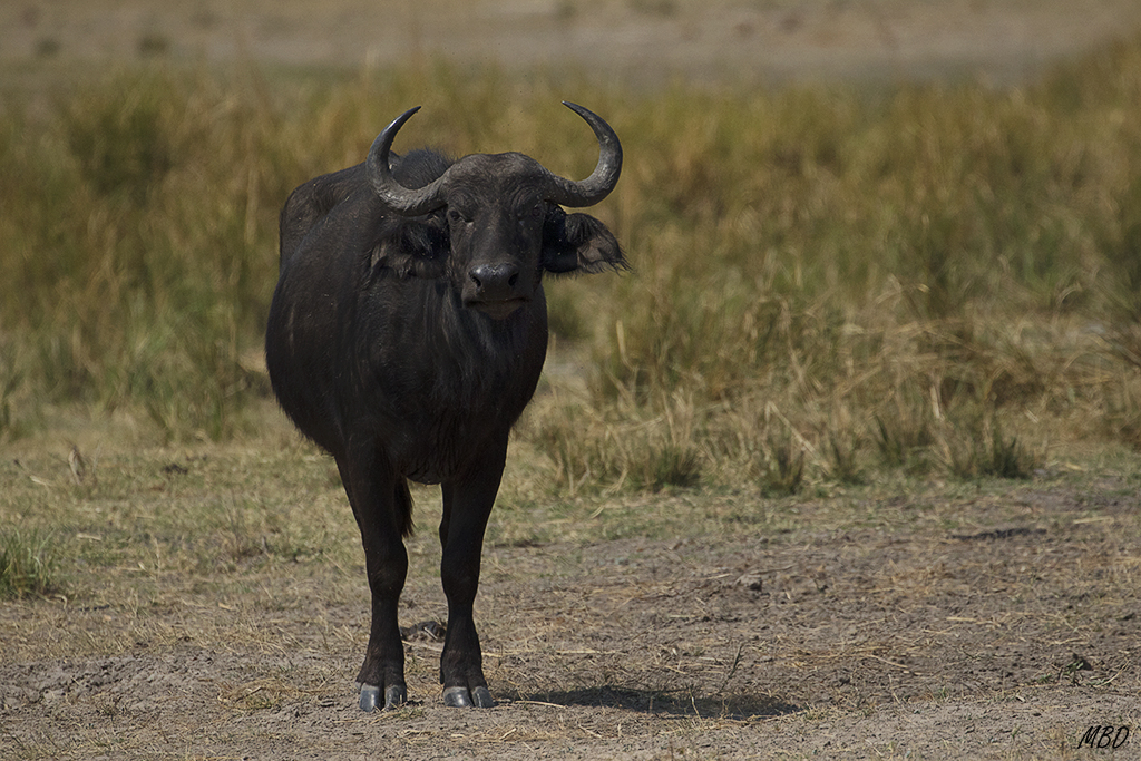 Cuando te miran se respira intranquilidad