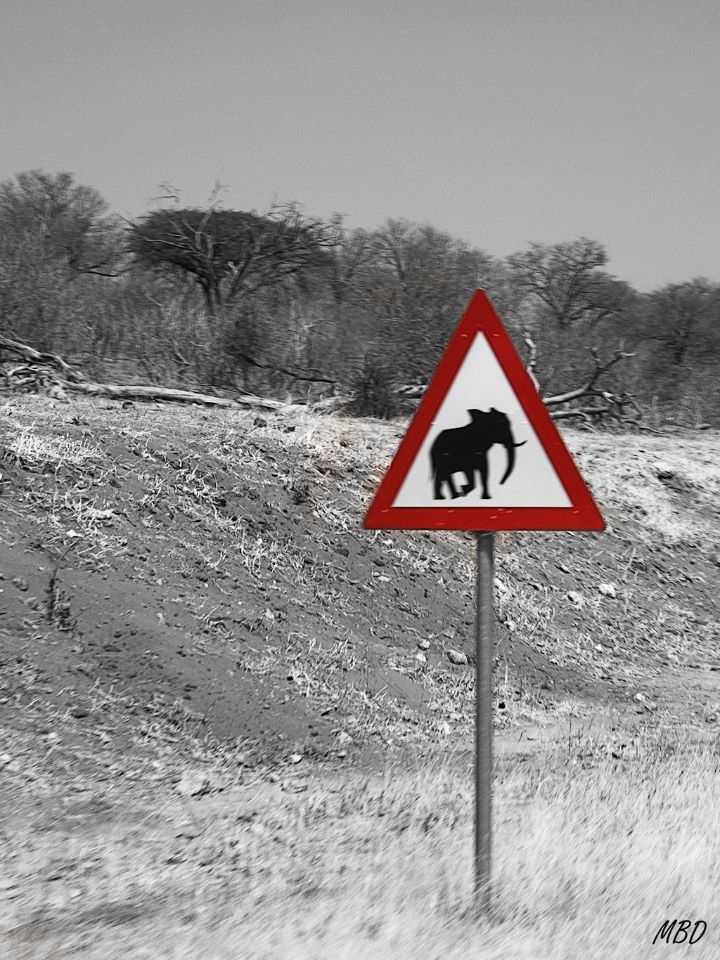 El tráfico se pone fatal.