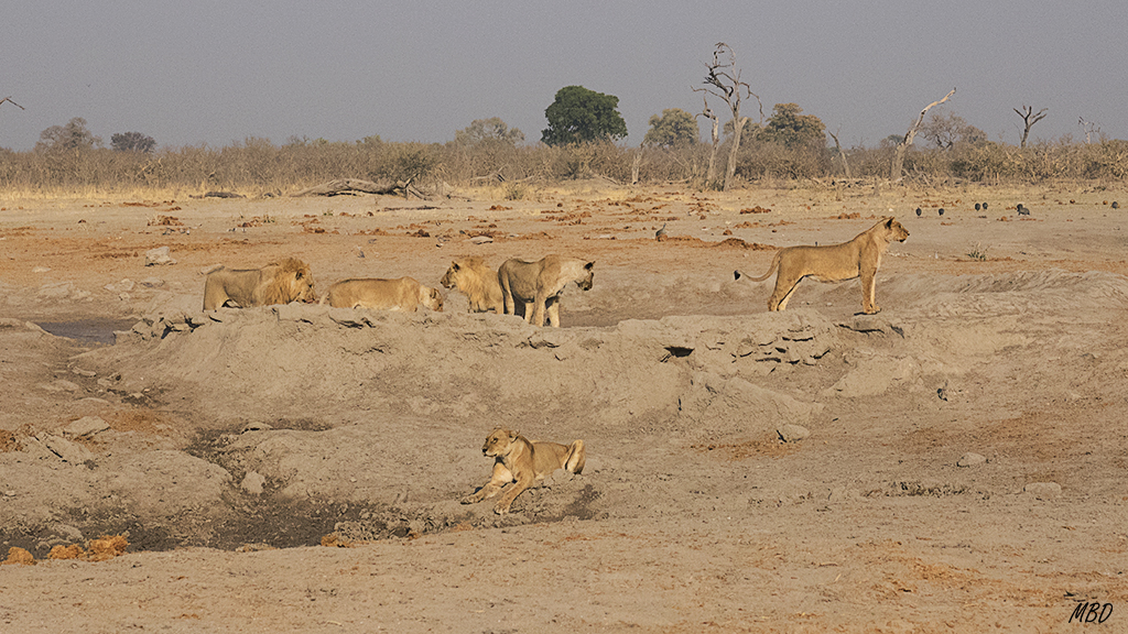 La familia reunida en la poza.