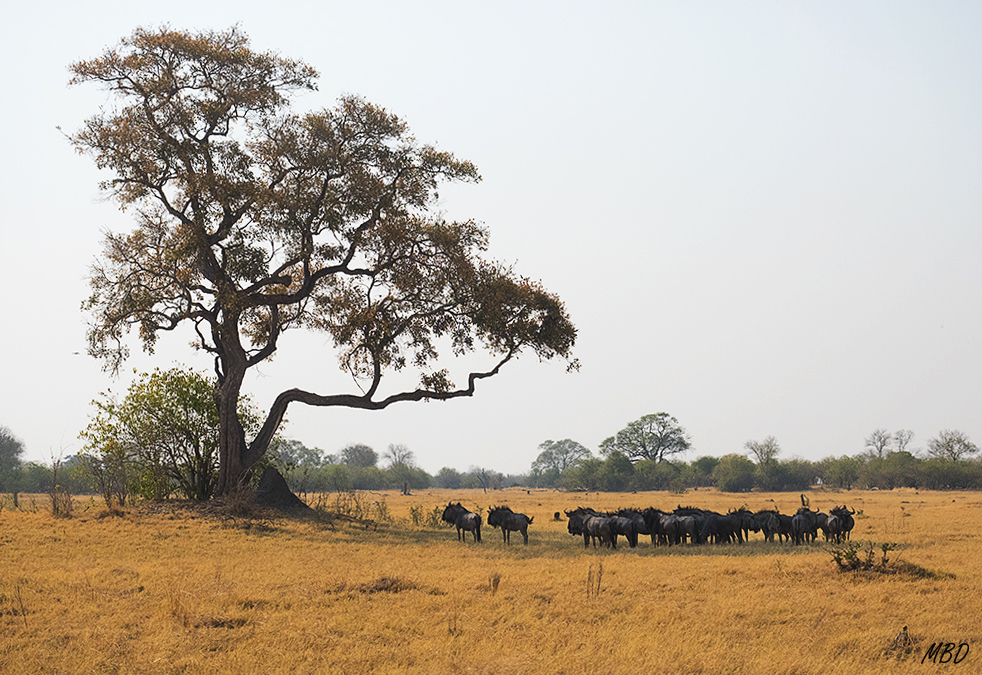 Me enamoró esta imagen.