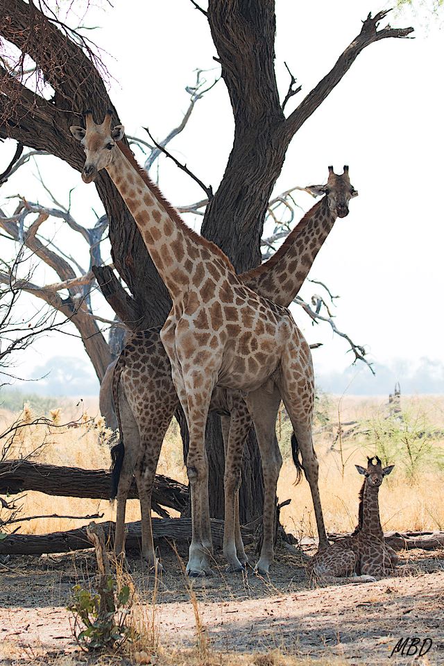 La familia al completo.