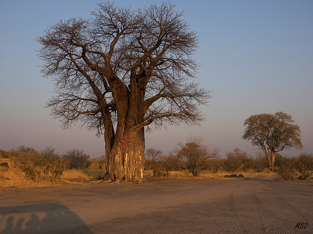 Buen lugar para ver la puesta de sol.