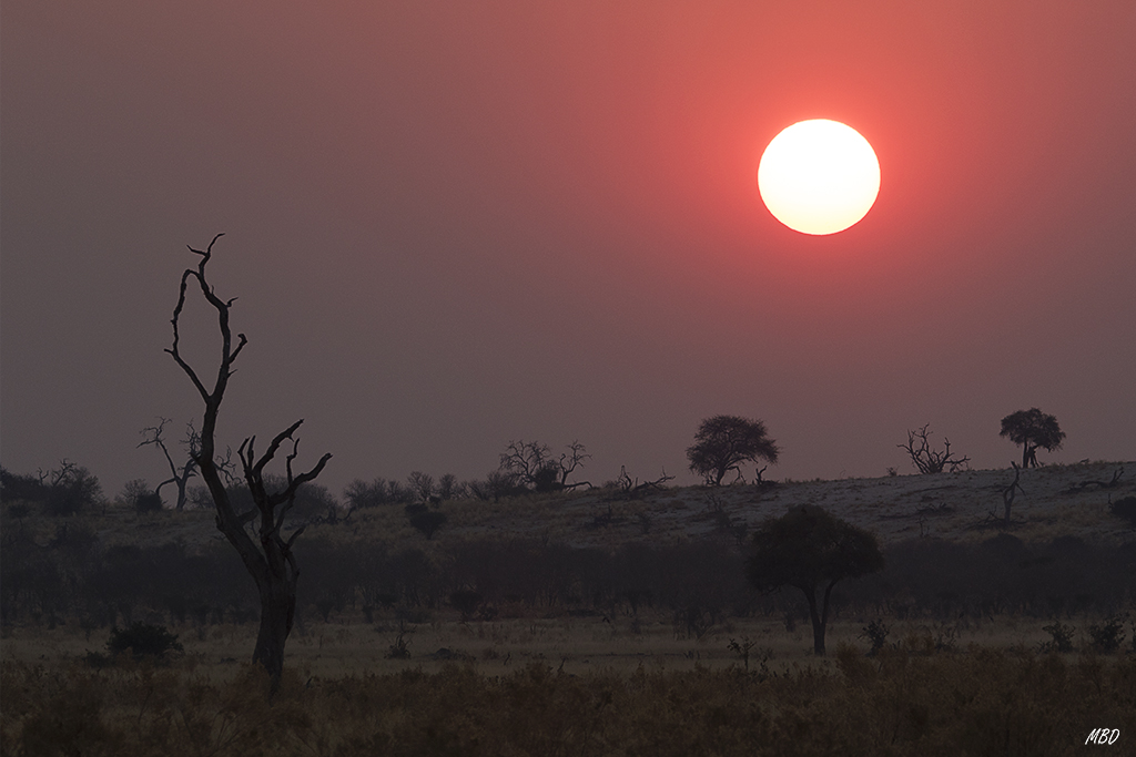 Cuesta dejar de hacer fotos…