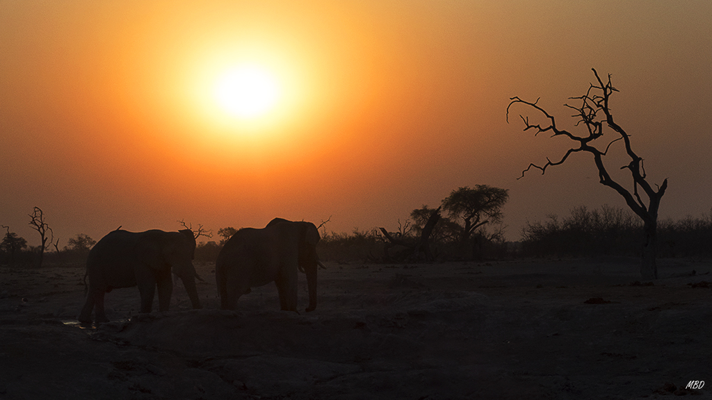 Las puestas de sol son espectaculares.