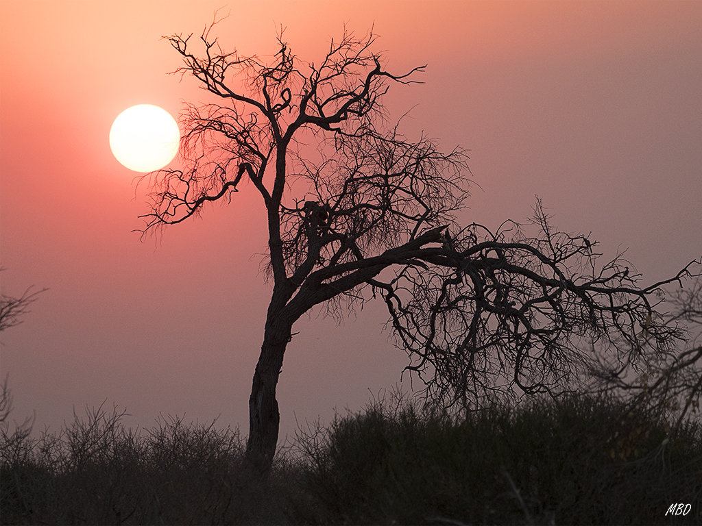 Una invitación a la fotografía.
