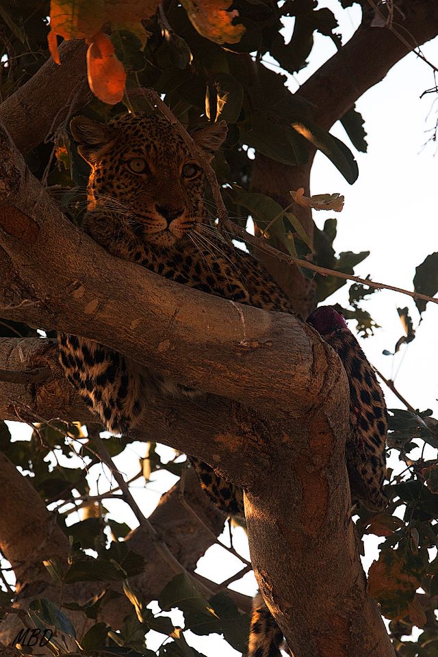 De salida, una gran despedida.