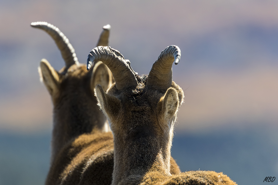 Un punto de vista diferente
