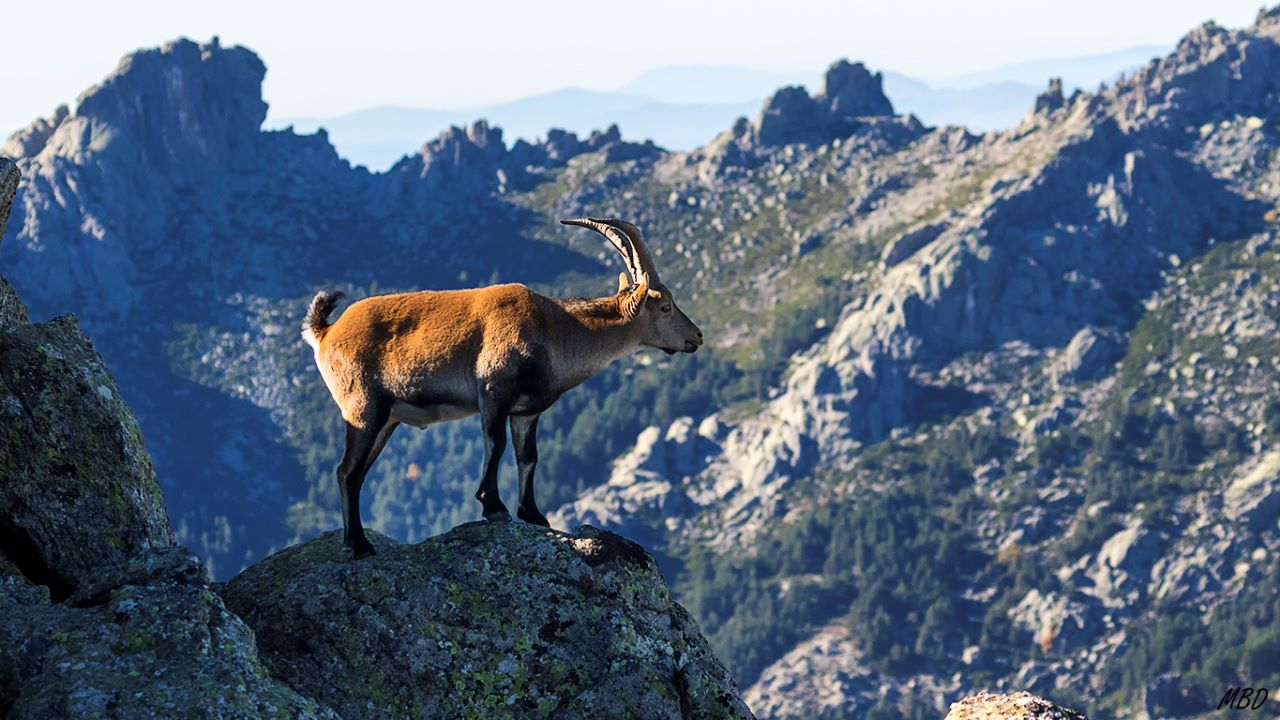 Recortándose con las cumbres