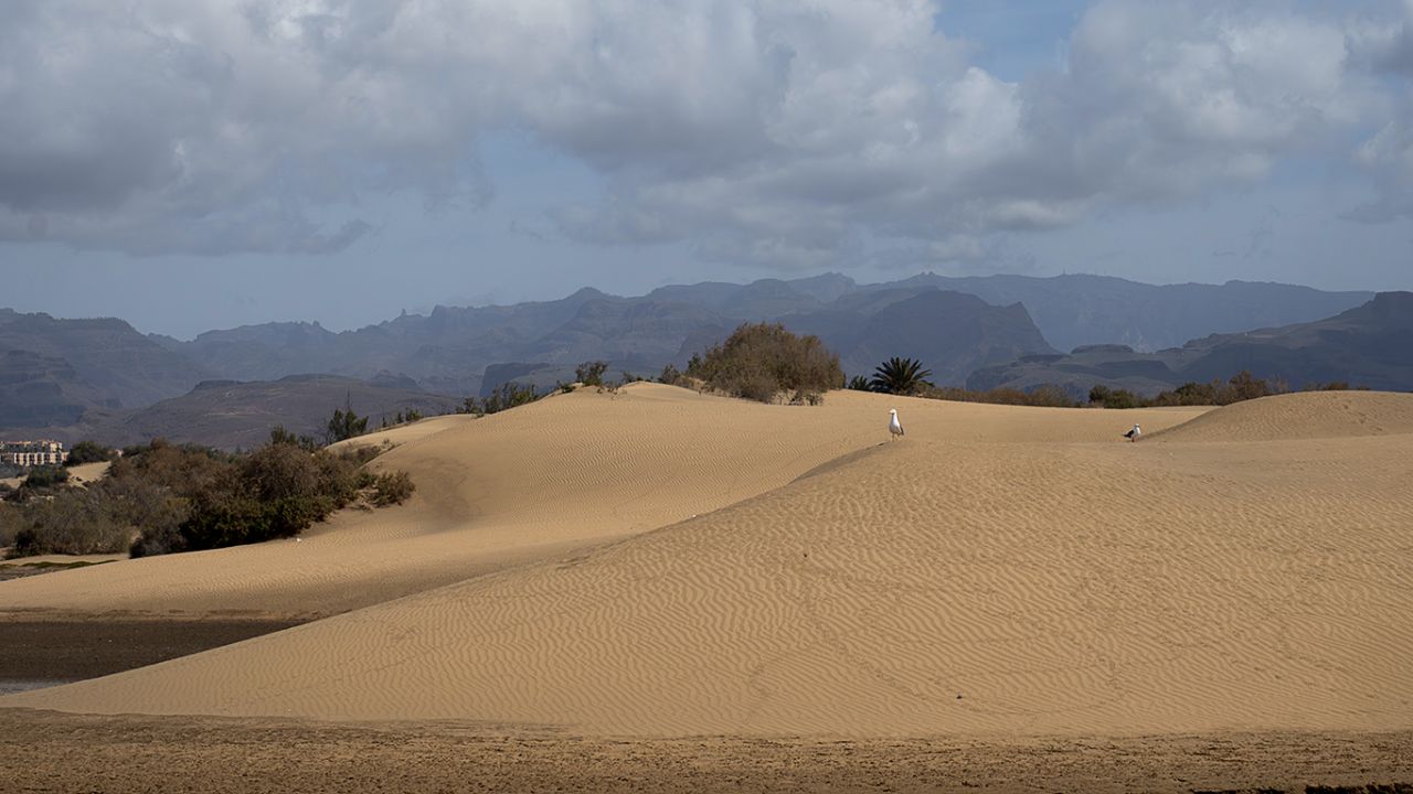 Gran Canaria