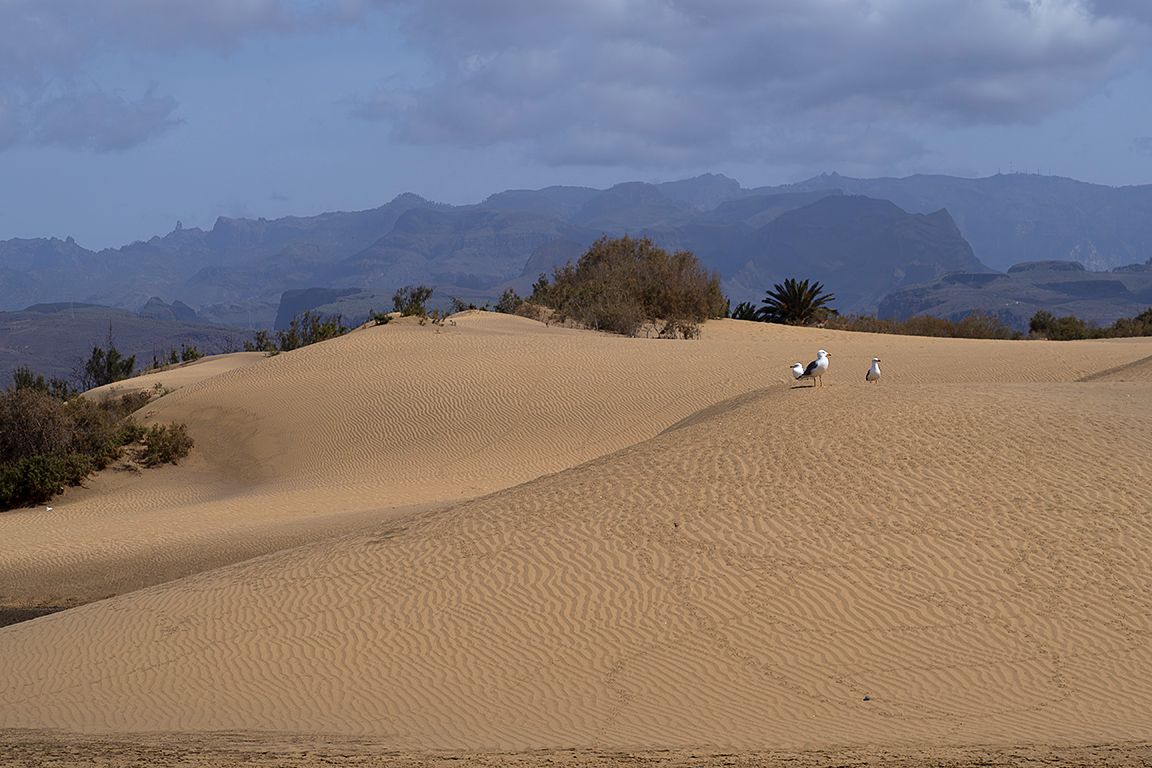 Gran Canaria