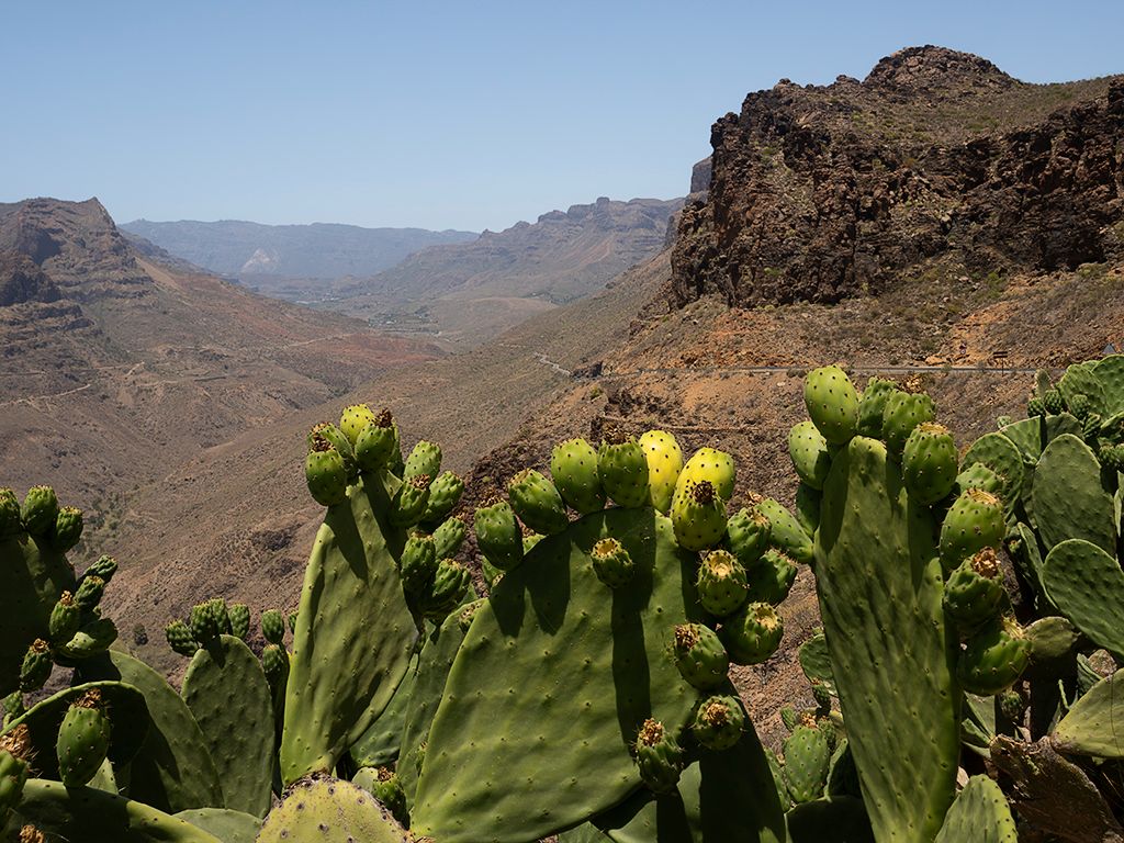 Gran Canaria