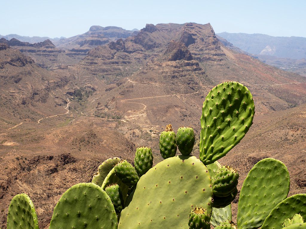 Gran Canaria